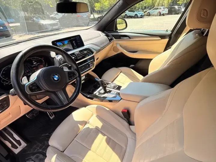 BMW X4 G02 xDrive20i AT M Sport