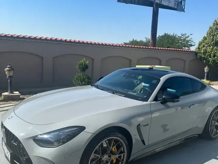 Mercedes-Benz AMG GT 192