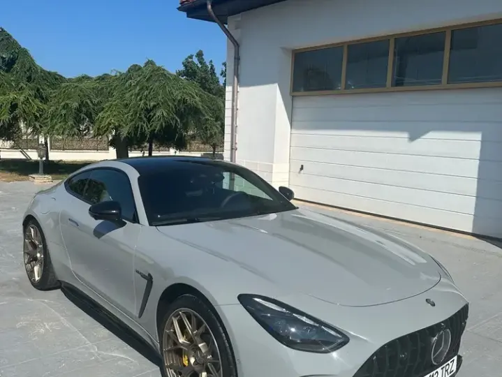 Mercedes-Benz AMG GT 192