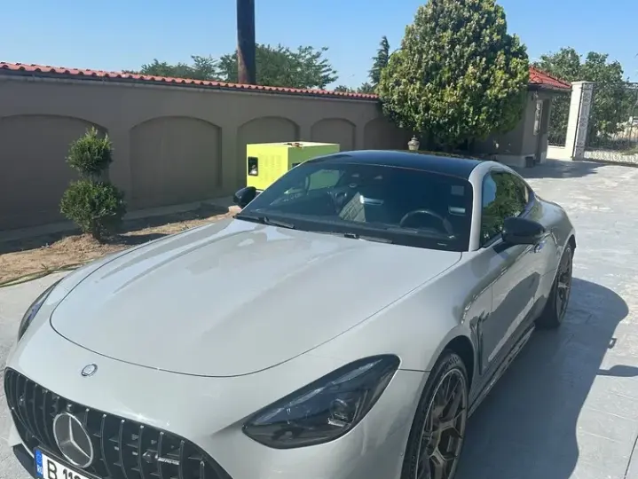 Mercedes-Benz AMG GT 192