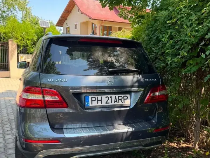 Mercedes-Benz ML W166 250 BlueTEC 4MATIC Aut