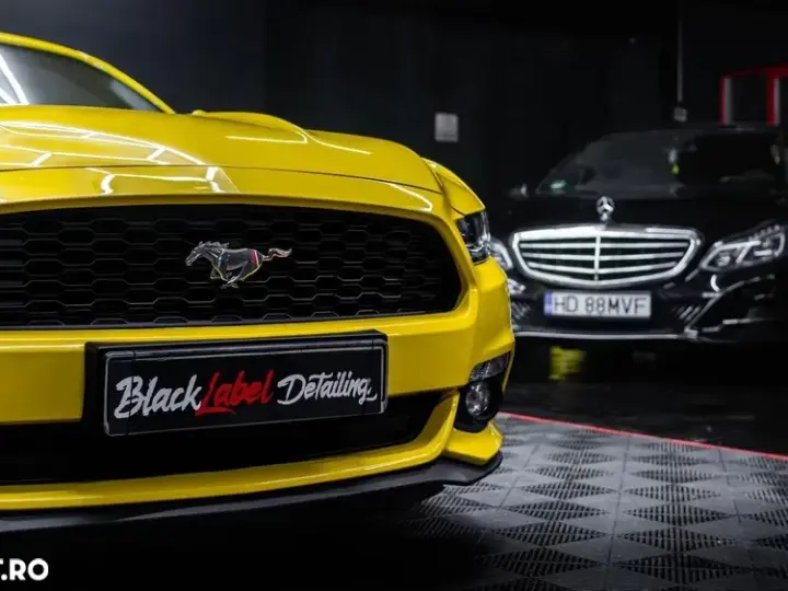 Ford Mustang VI