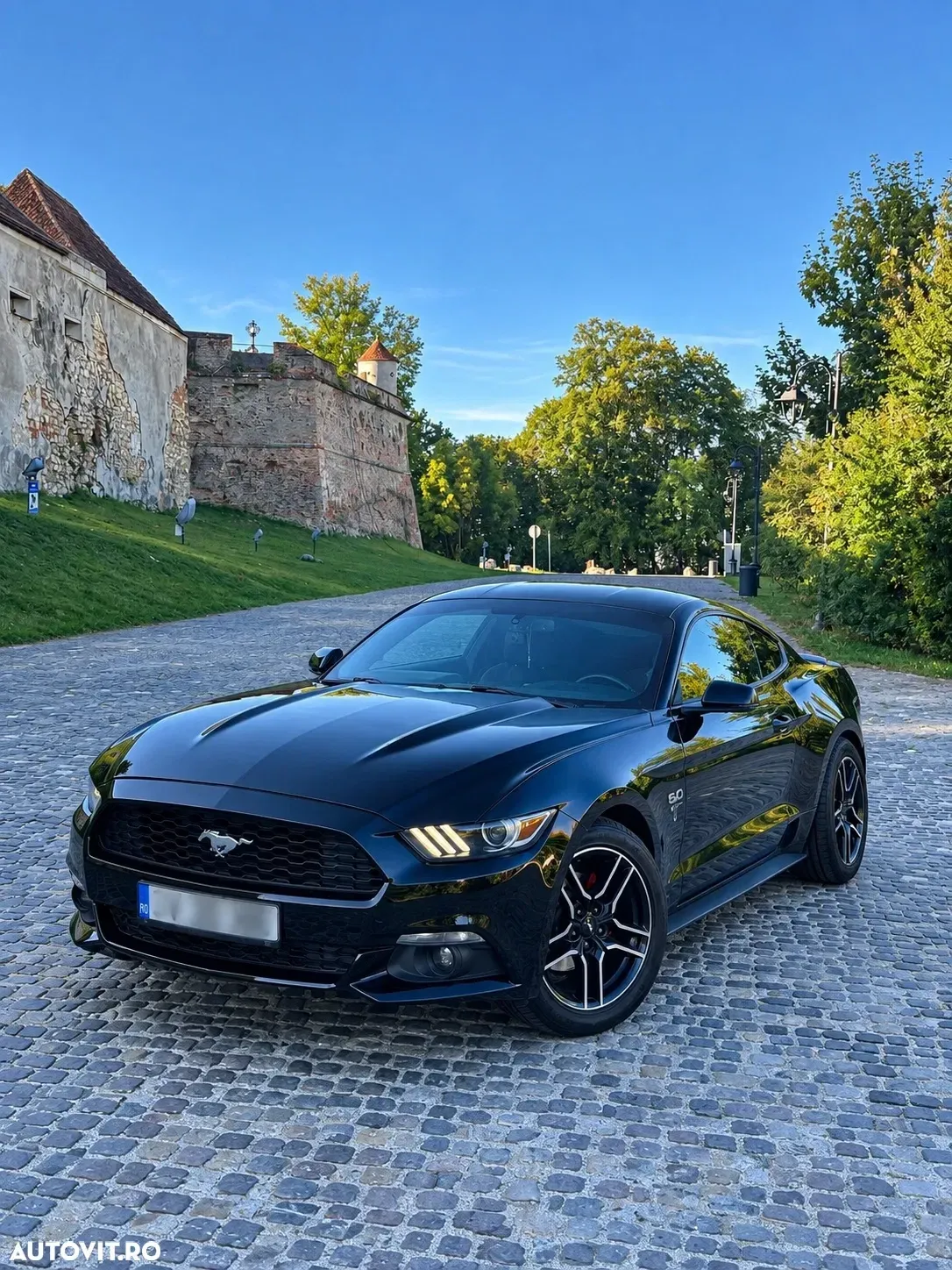 Ford Mustang VI — imagine 6