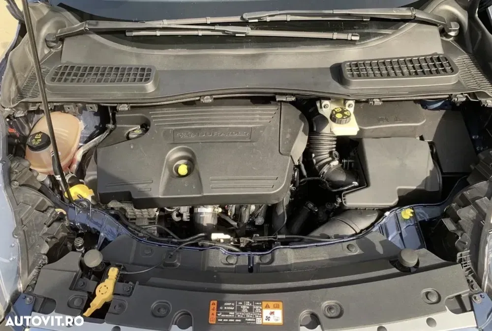 Ford Kuga II 2.0 EcoBlue A8 AWD Trend — imagine 6