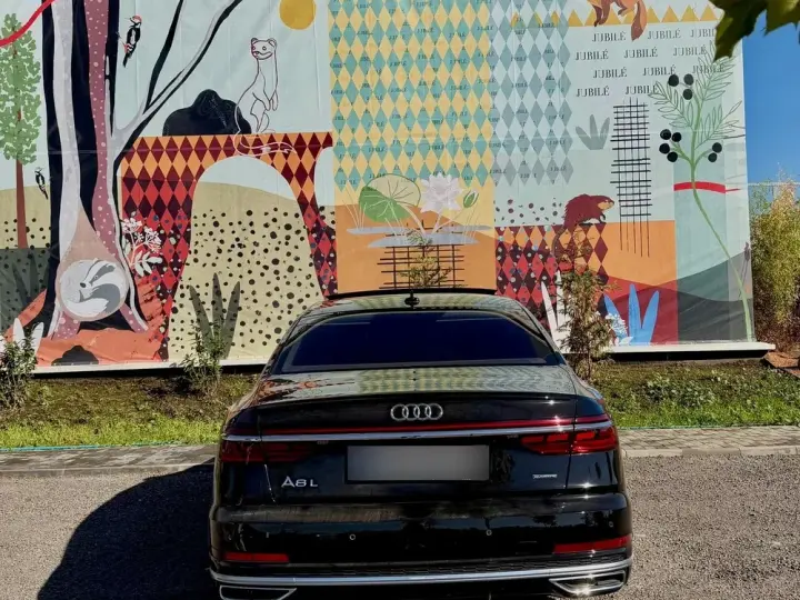 Audi A8 D5 L 50 TDI quattro tiptronic