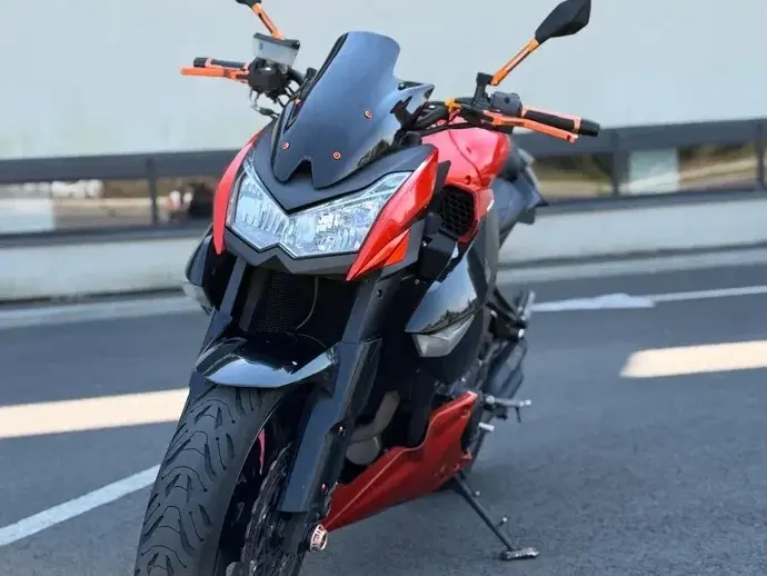 Kawasaki Z 1000R