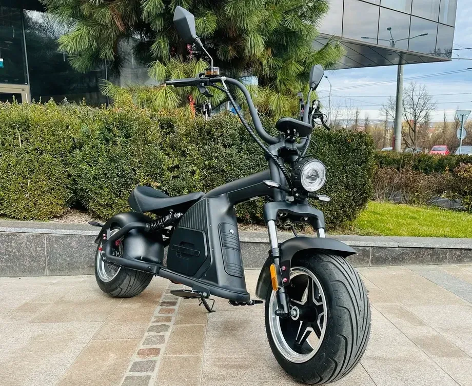 Harley-Davidson Altul — imagine 2