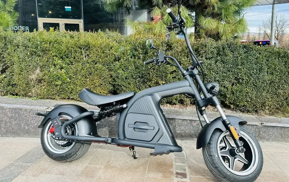 Harley-Davidson Altul — imagine 3