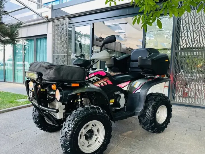 Linhai 300