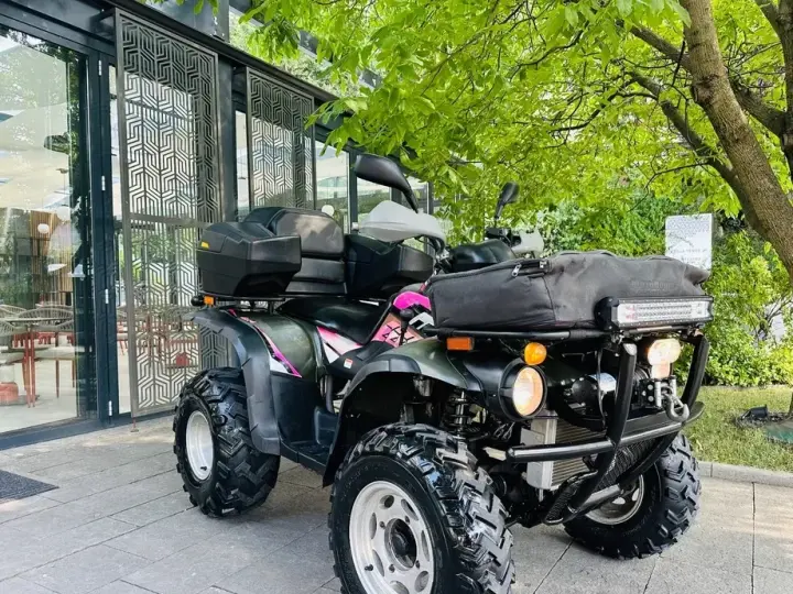 Linhai 300