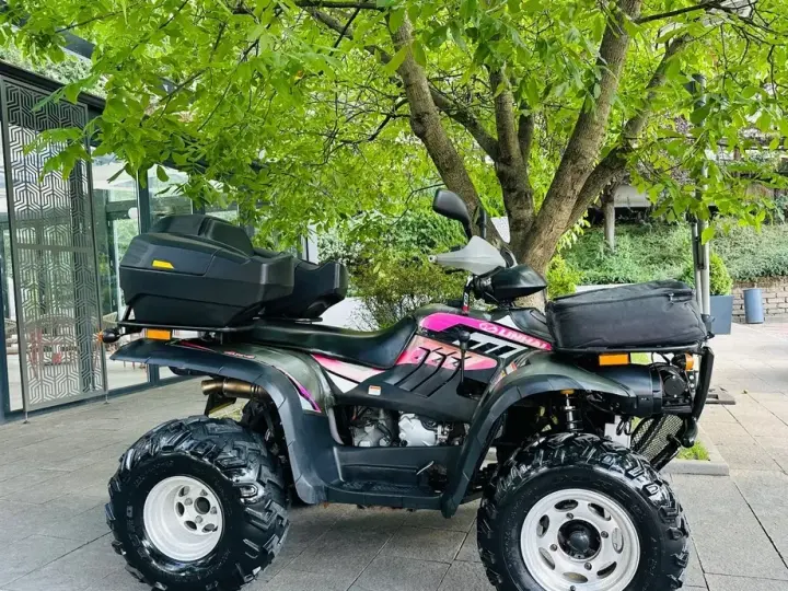 Linhai 300