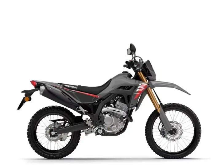 Honda CRF 300 Rally