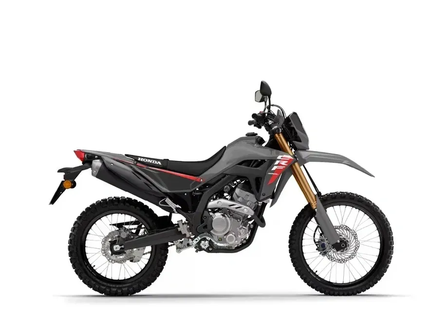 Honda CRF 300 Rally — imagine 3