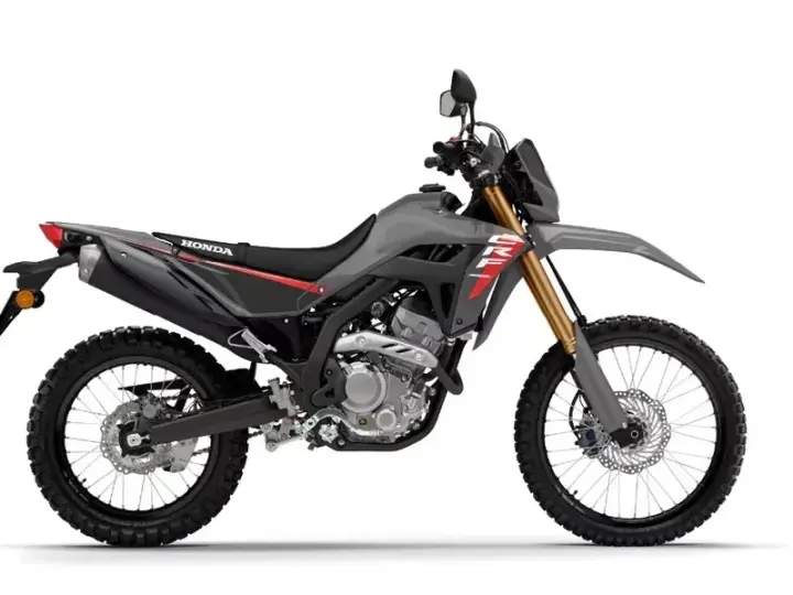 Honda CRF 300L
