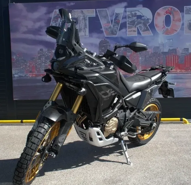 Voge DS800X Rally — imagine 5