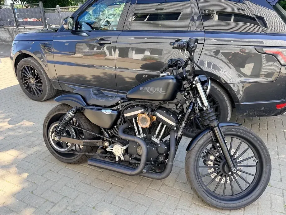 Harley-Davidson XL 883N Iron Special Edition — imagine 2