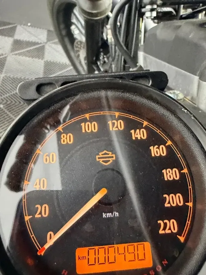 Harley-Davidson XL 883N Iron Special Edition — imagine 3