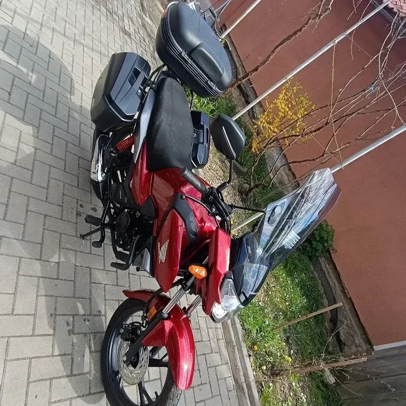 Honda CB 125F — imagine 4