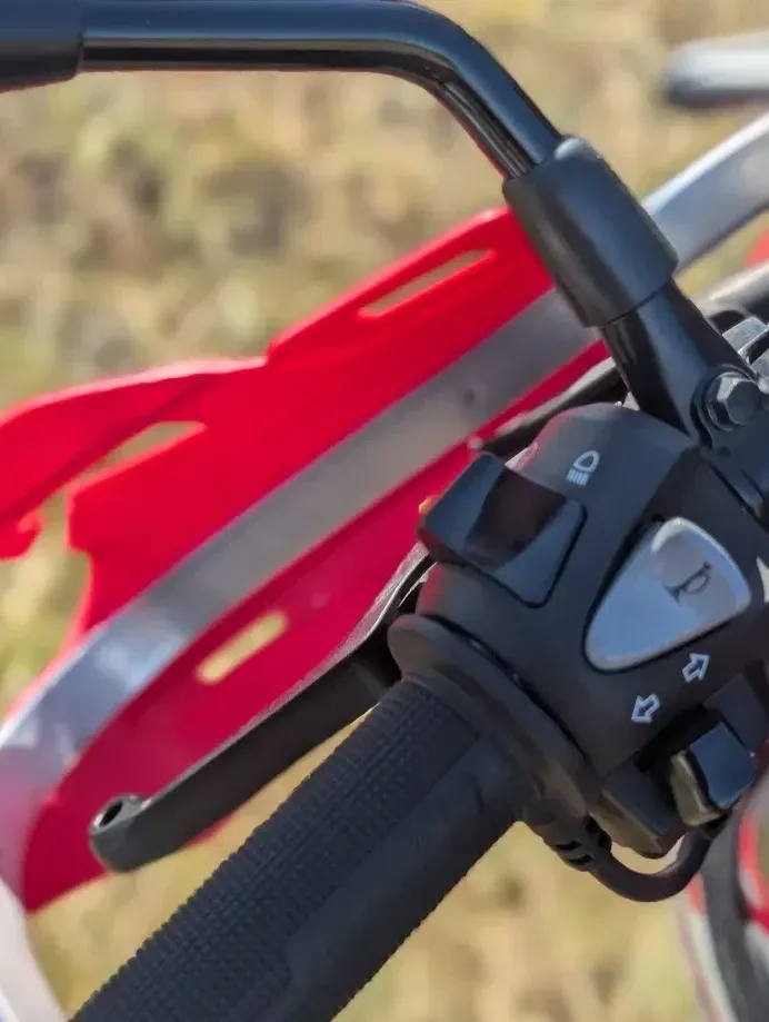Honda CRF 300 Rally — imagine 6