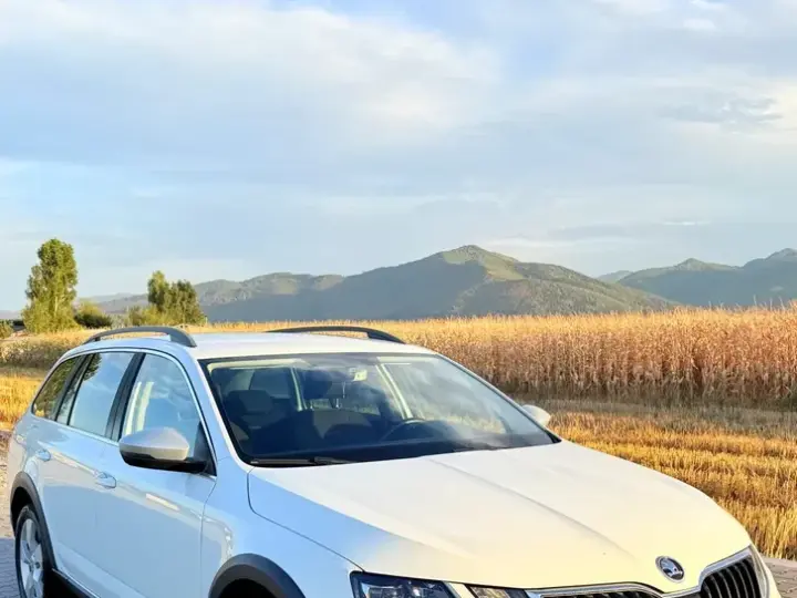 Škoda Octavia III 2.0 TDI 4x4 DSG Scout