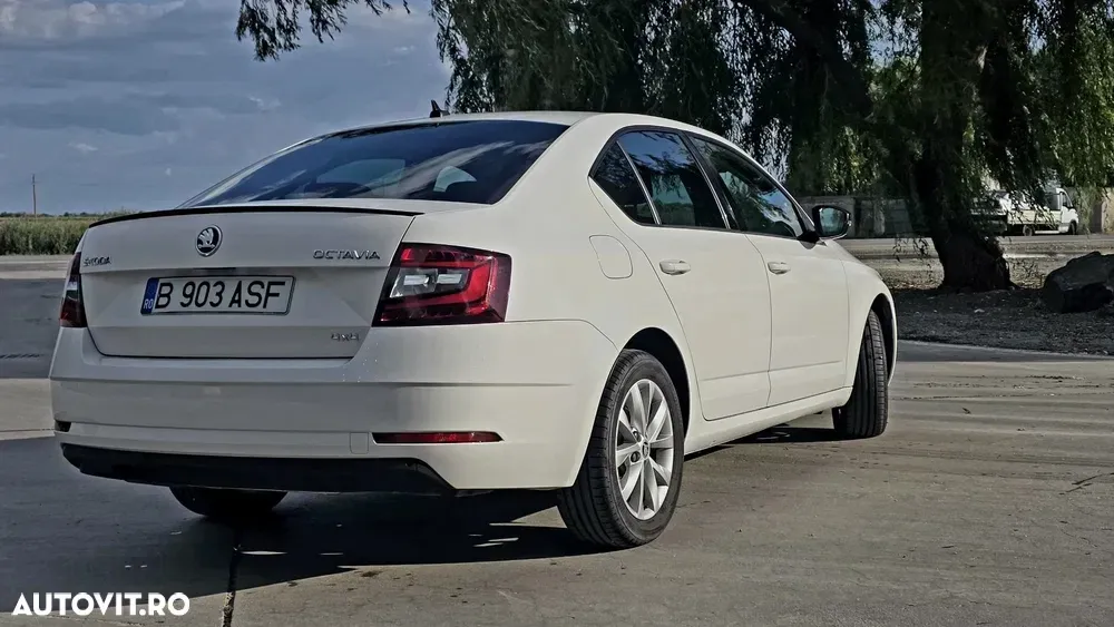 Škoda Octavia III 2.0 TDI DSG 4X4 Style — imagine 6