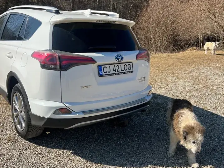 Toyota RAV4 IV