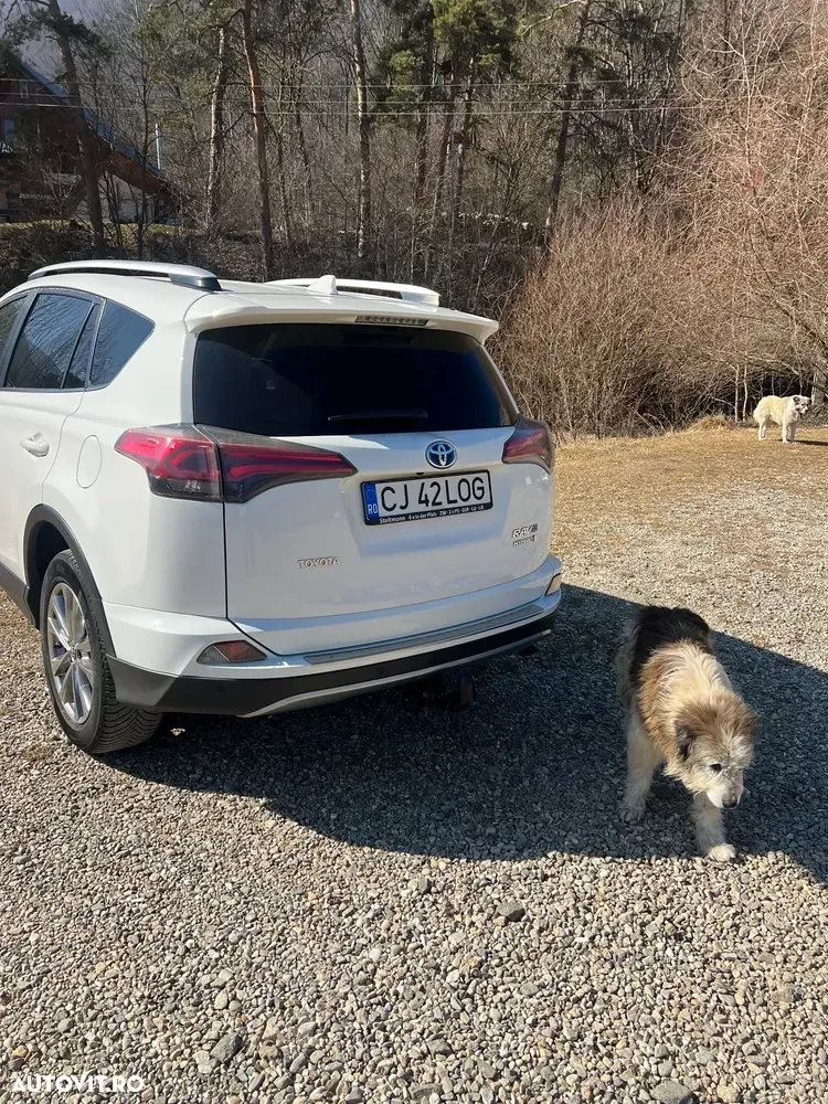 Toyota RAV4 IV — imagine 3