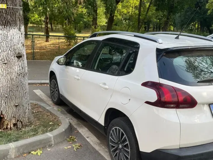 Peugeot 2008 I 1.6 BlueHDi FAP Access