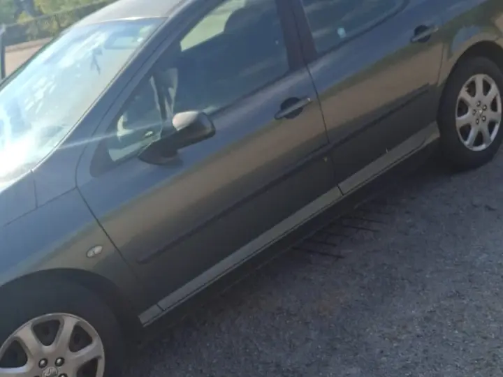 Peugeot 407