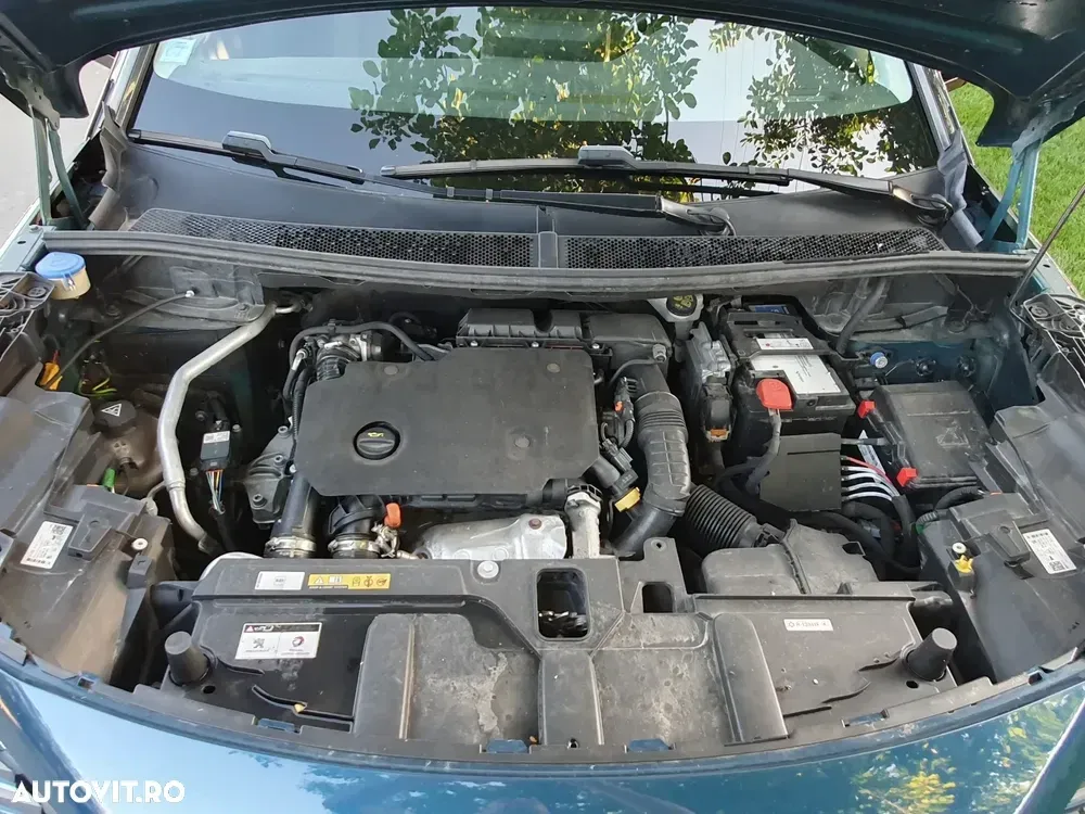 Peugeot 3008 BlueHDi 130 Stop & Start EAT8 Active Business-Paket — imagine 5