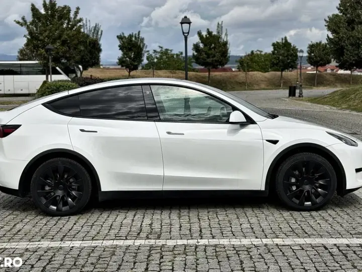 Tesla Model Y RWD