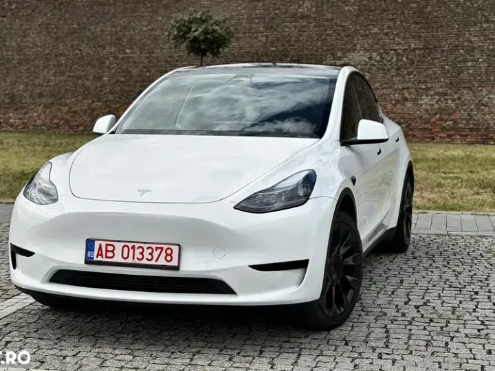 Tesla Model Y RWD