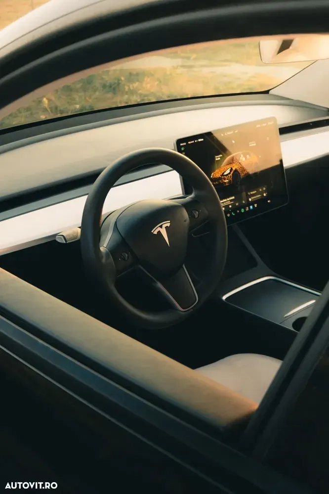 Tesla Model Y AWD Performance — imagine 6