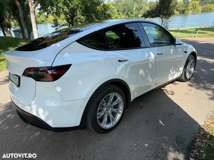 Tesla Model Y RWD
