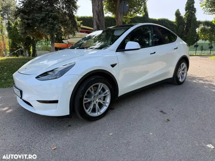 Tesla Model Y RWD