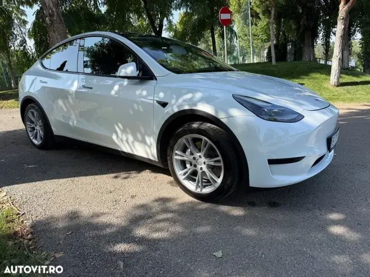 Tesla Model Y RWD