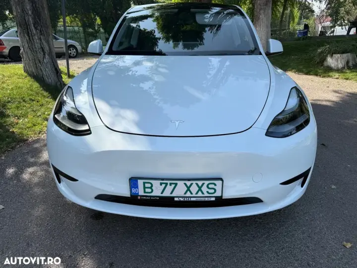 Tesla Model Y RWD