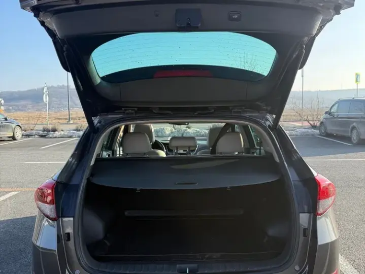 Hyundai Tucson III 2.0 CRDI 4WD 6AT Luxury Pack+