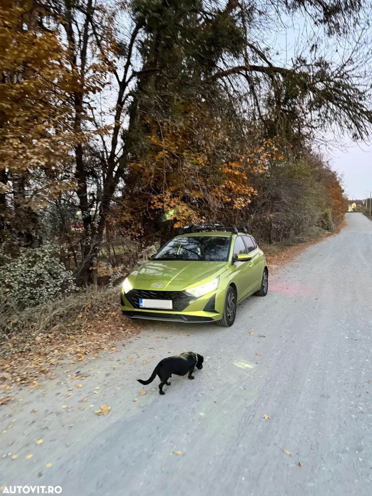 Hyundai i20 III 1.0 l T-GDi M-Hybrid 100CP 7DCT 5DR Led Line — imagine 5