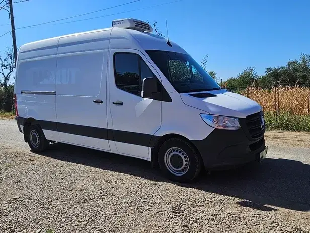 Mercedes-Benz Sprinter Frigorific Thermoking