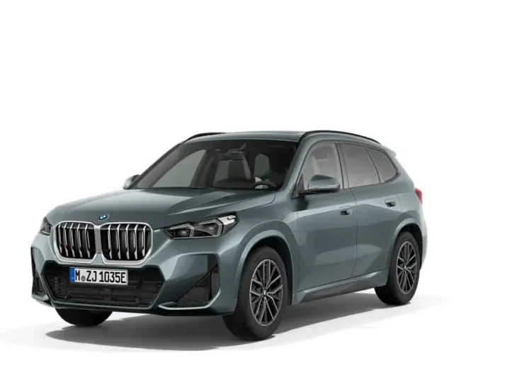 BMW X1 F48 xDrive30e Aut. M Sportpaket