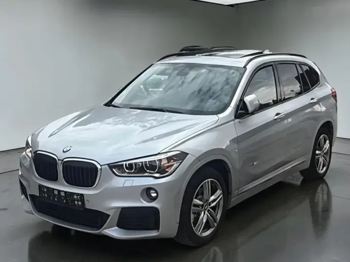 BMW X1 F48 xDrive20i Aut. M Sport