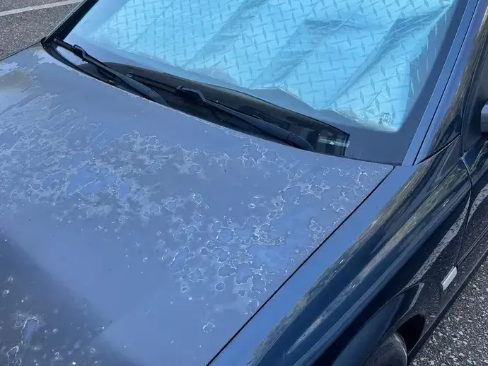 Opel Vectra C