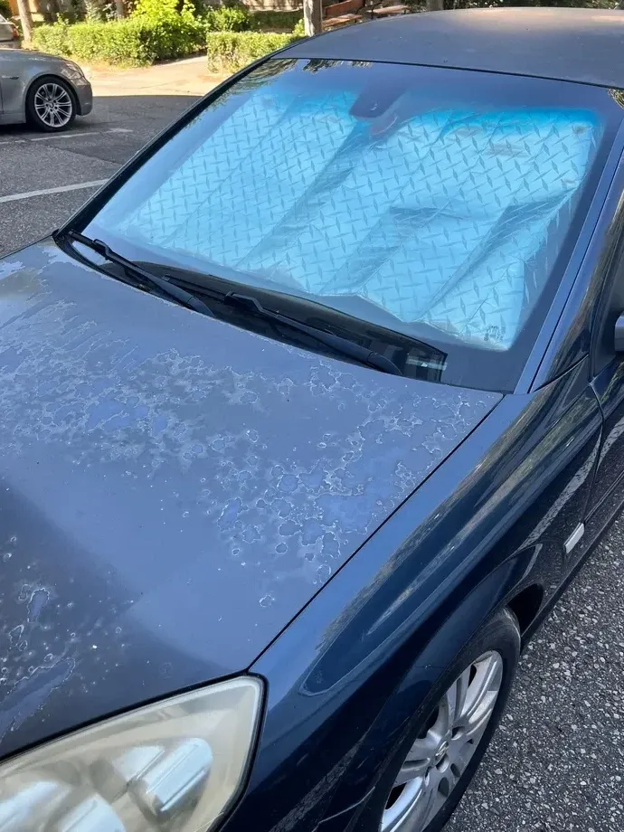 Opel Vectra C — imagine 2