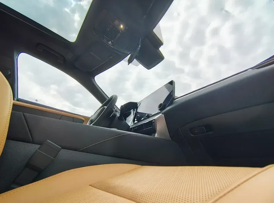 Lexus RX IV 450h+ E-Four PHEV Executive — imagine 5