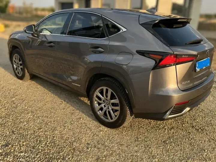 Lexus NX I 300h AWD Executive Plus