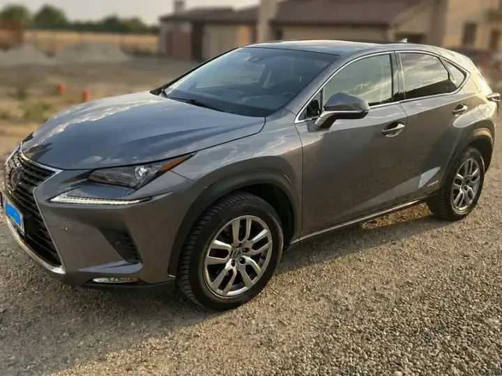 Lexus NX I 300h AWD Executive Plus
