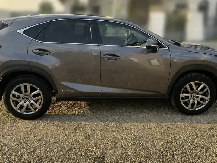Lexus NX I 300h AWD Executive Plus