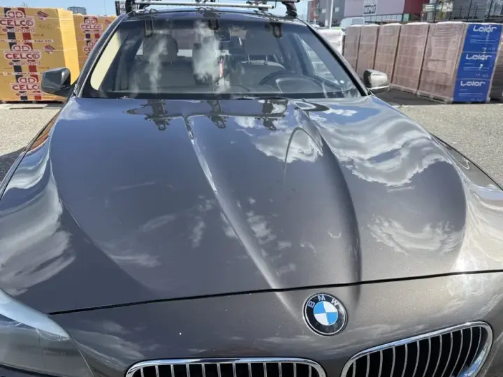 BMW Seria 5 F10/F11/F07 520d Aut.