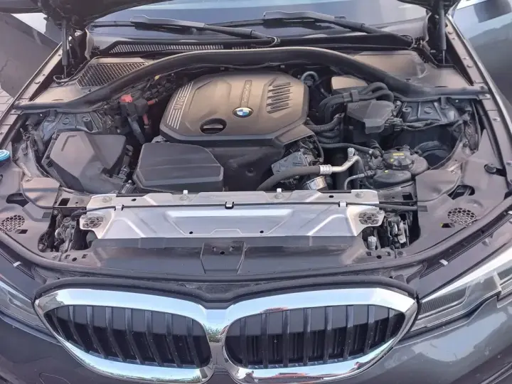 BMW Seria 3 G20/G21 [2018 - Prezent] 320d xDrive AT